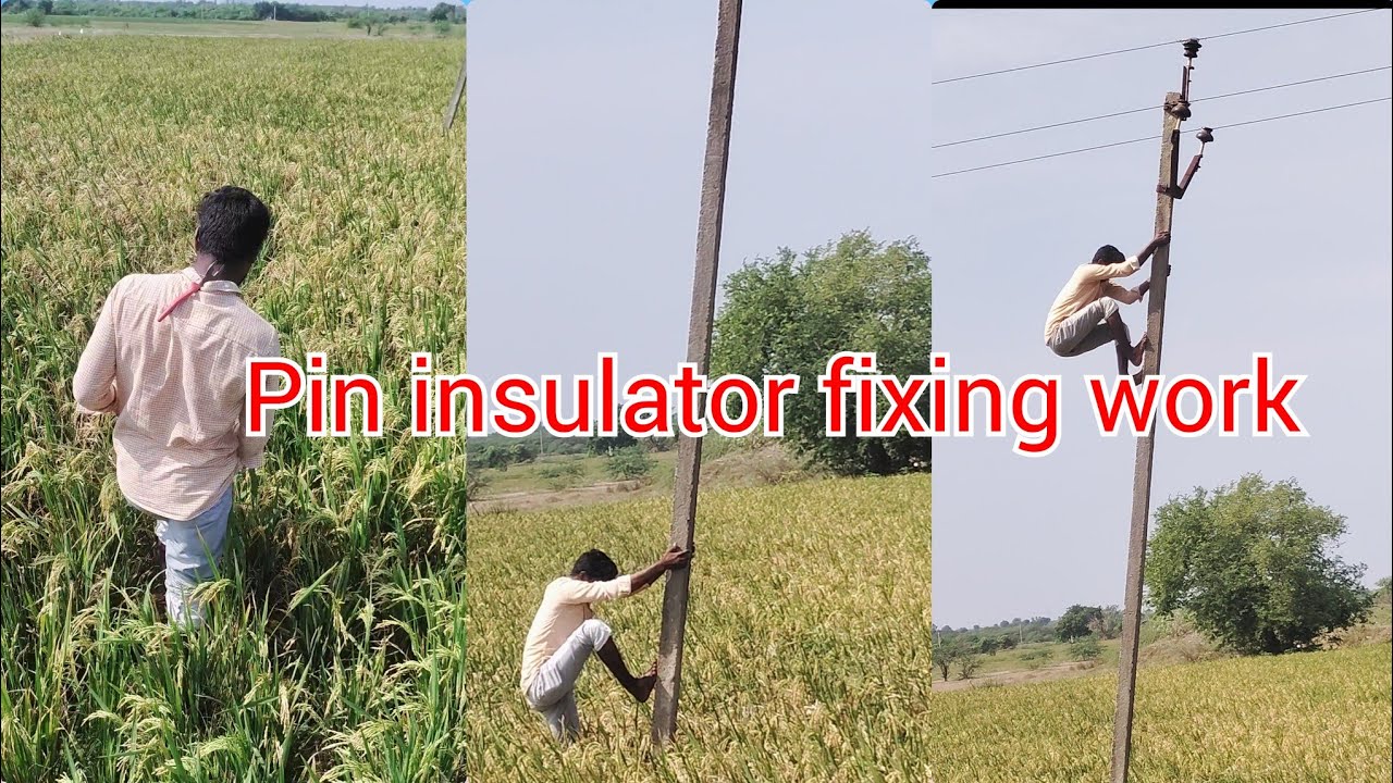 Pin insulator fixing work #jlmelectrical #viralshort #viralvideo