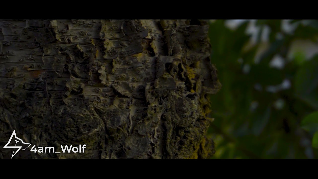 Ground | CINEMATIC | SLOW-MO | EFFECTS | GRADED | 4am Wolf