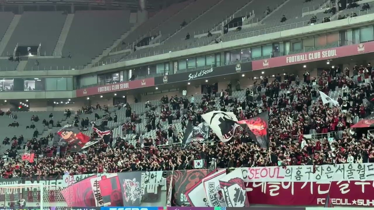 2025.11.04 FC서울 vs 청두 룽청 (6) - 응원 영상