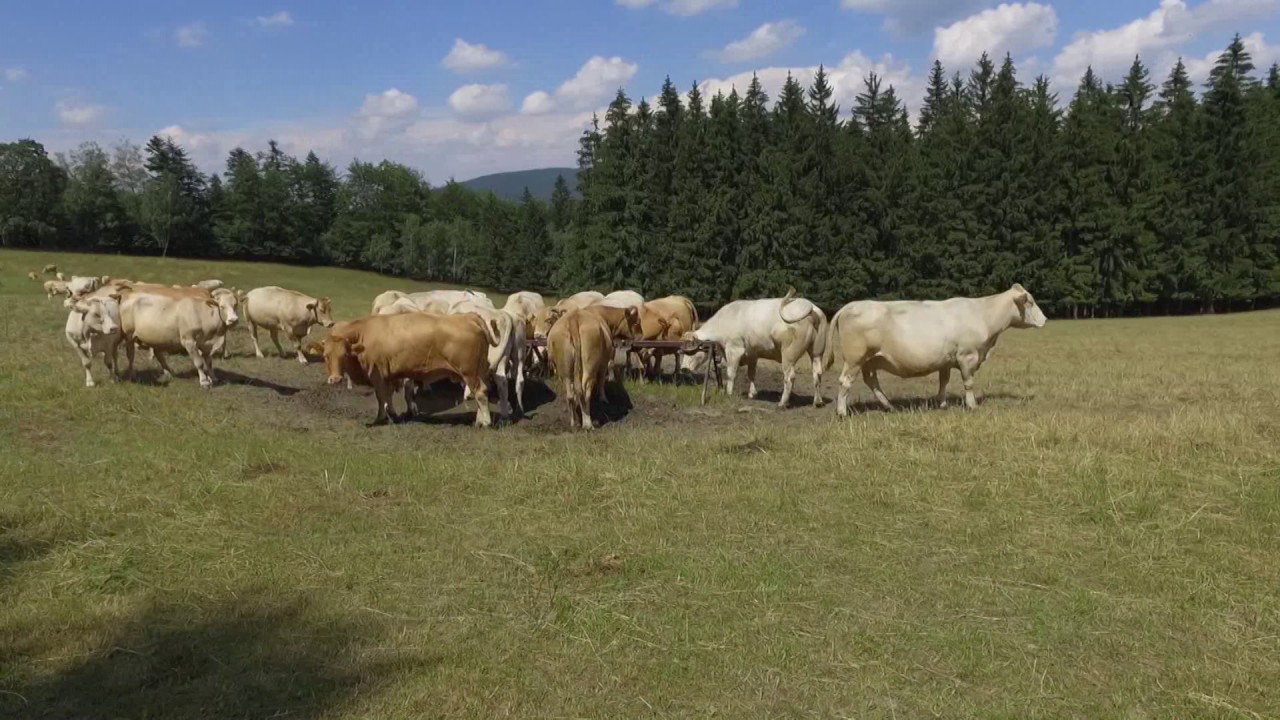 Autobusem na výlet  - Chvalčov - Obřany - Skalný - Hostýn