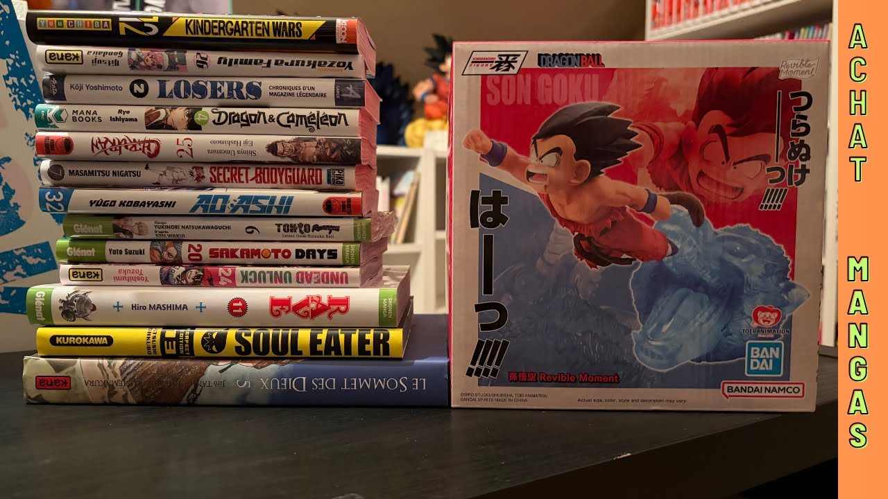 Achat Mangas 15-01-26