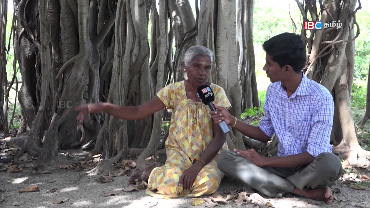 Vanakkam Thainadu | சுருவில் | Suruvil Kayts - Jaffna | 28.02.17 | Part 02