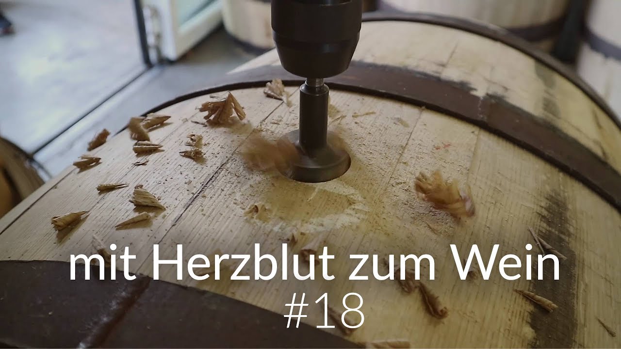 mit Herzblut zum Wein Vlog #18 | Neue Fässer vom Küfer