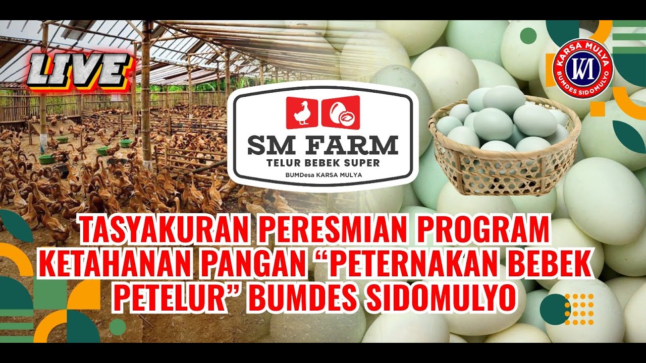 LIVE  I  Tasyakuran Peresmian Program Ketahanan Pangan 