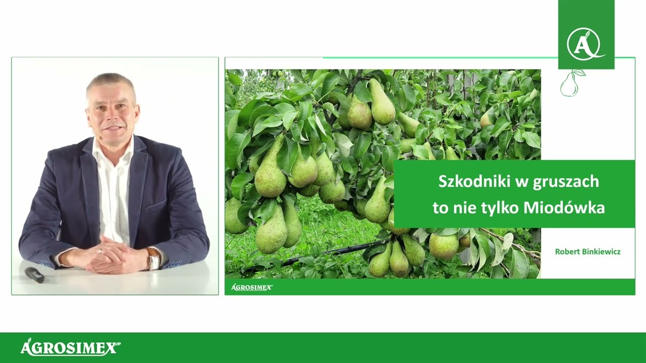 Szkodniki w gruszach to nie tylko miodówka - Konferencja Sadownicza Agrosimex | 09.02.2023