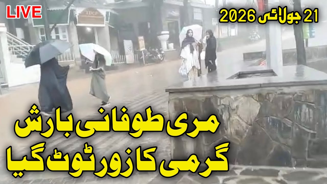 Murree Live Today | Heavy Rain In Murree | Live Update | #murreeweather