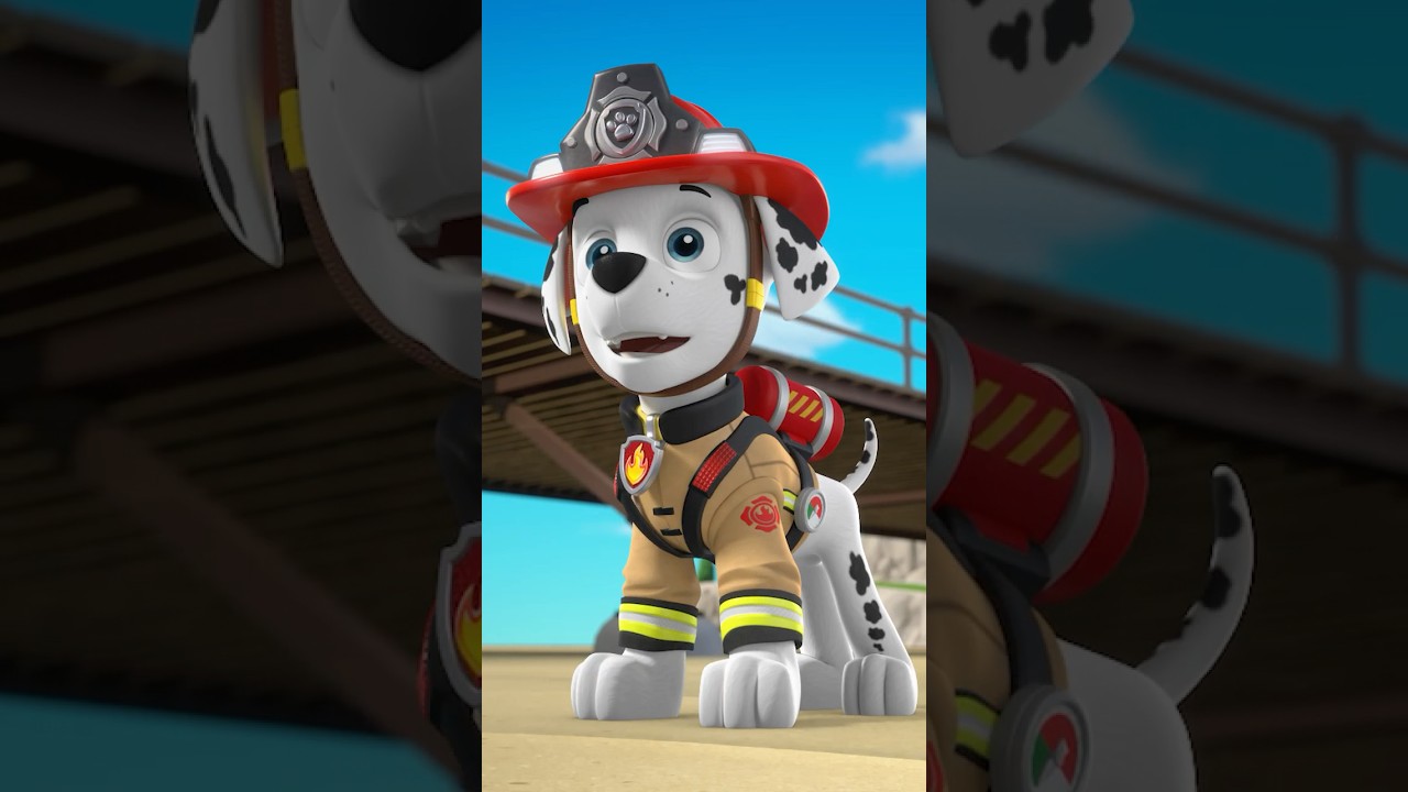 PAW Patrol Marshall fire rescue! 🔥 #shorts