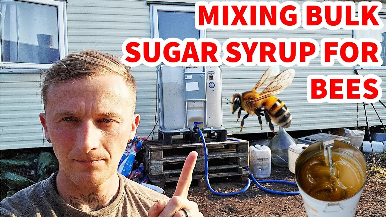 MIXING BULK SUGAR SYRUP FOR BEES #feed #bees #syrup