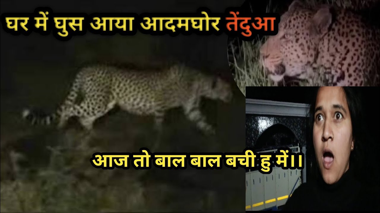 घर में घुस आया आदमघोर तेंदुआ😳 बाल बाल बची हु 😲।।Meenakshi Vlog 
