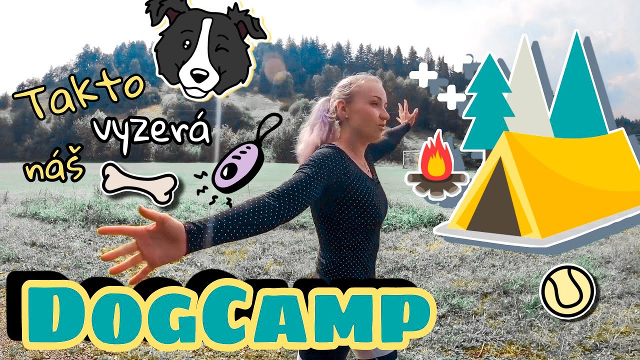 Ako to vyzerá u nás na DOGCAMPE | DogCamp Tour
