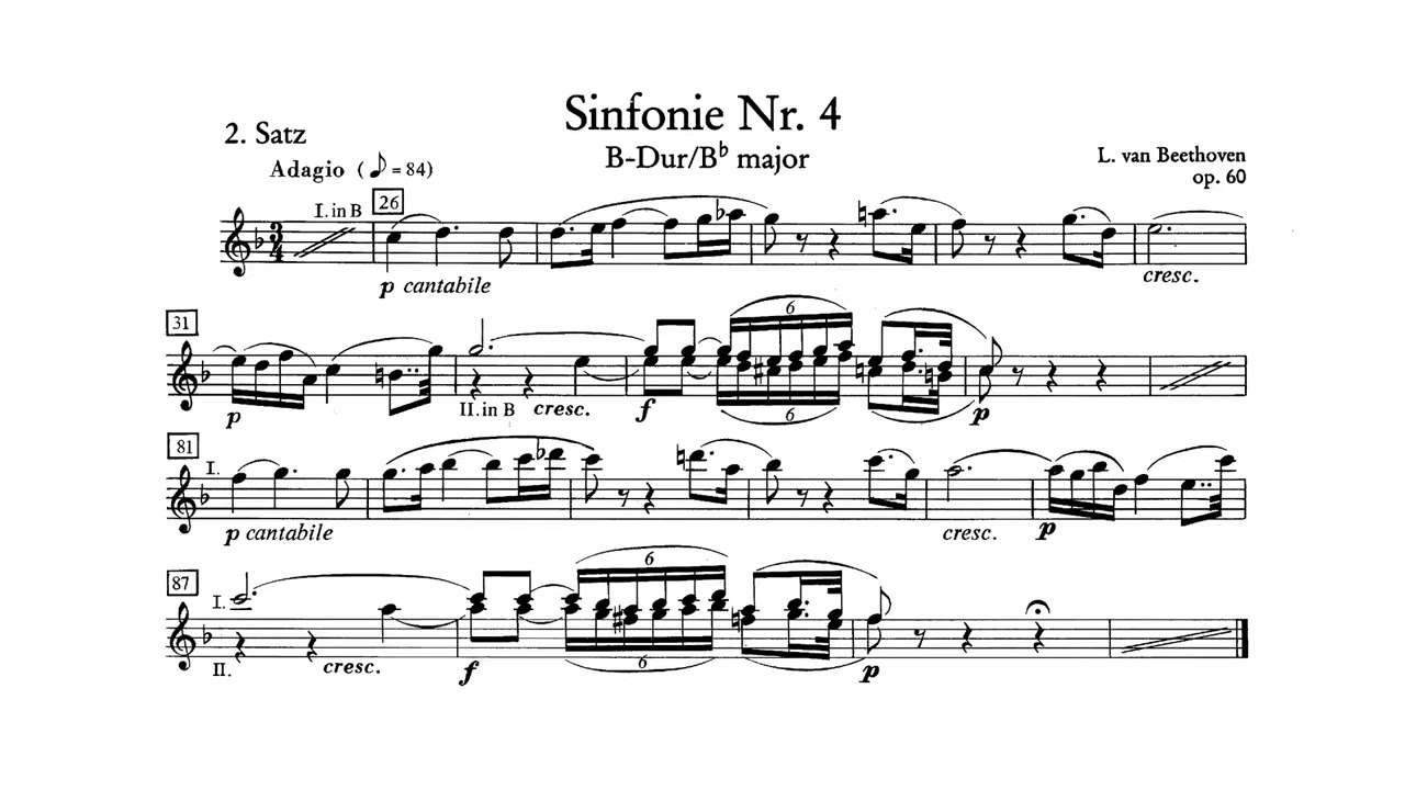 Clarinet Solo: Beethoven Symphony No. 4 II. Adagio