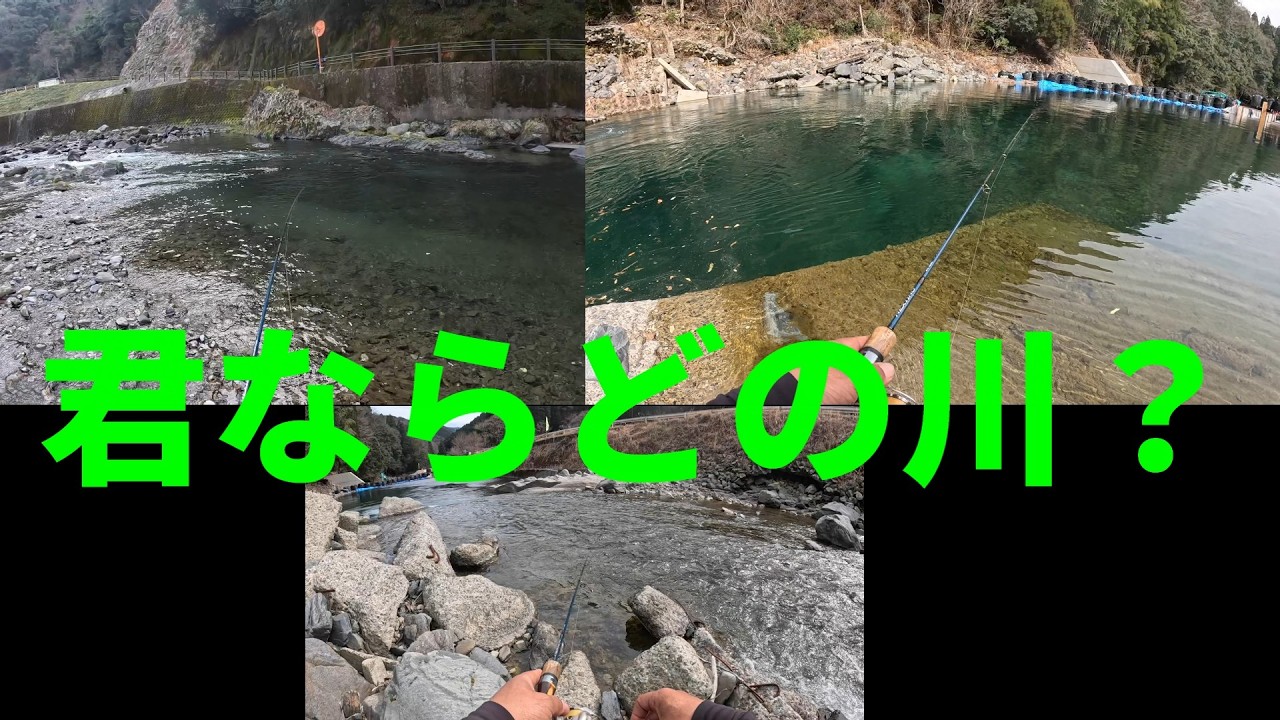 【熊本県ヤマメ釣り】3本の川でヤマメ調査して見た！