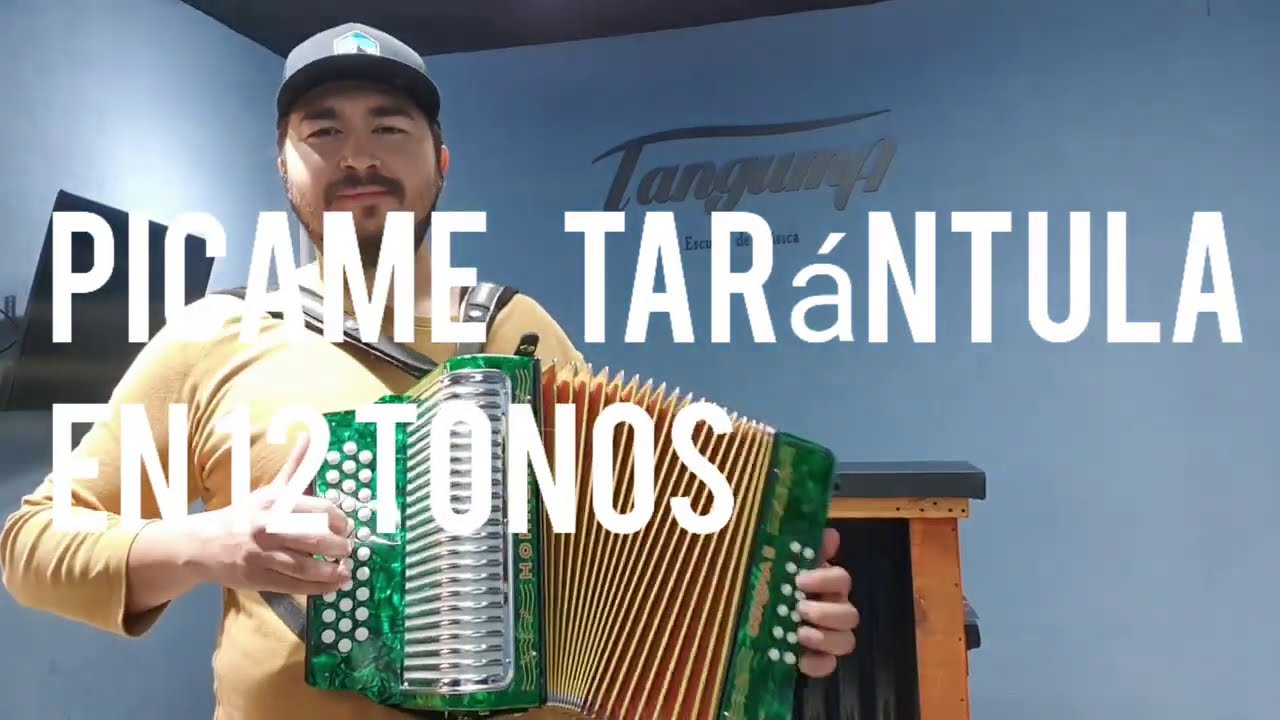 Picame Tarántula en  12 tonos. -Todos los tonos-  -GCF-
