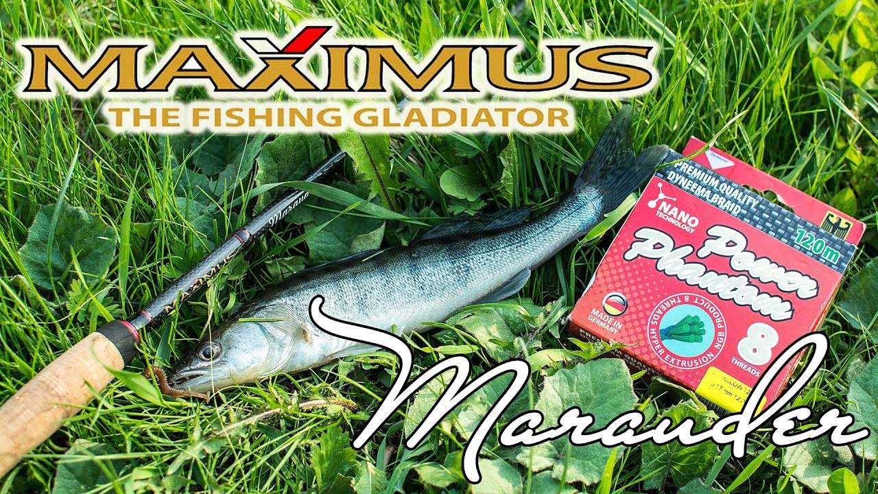 Обзор спиннинга Maximus Marauder 66L - сенсорика и мощь