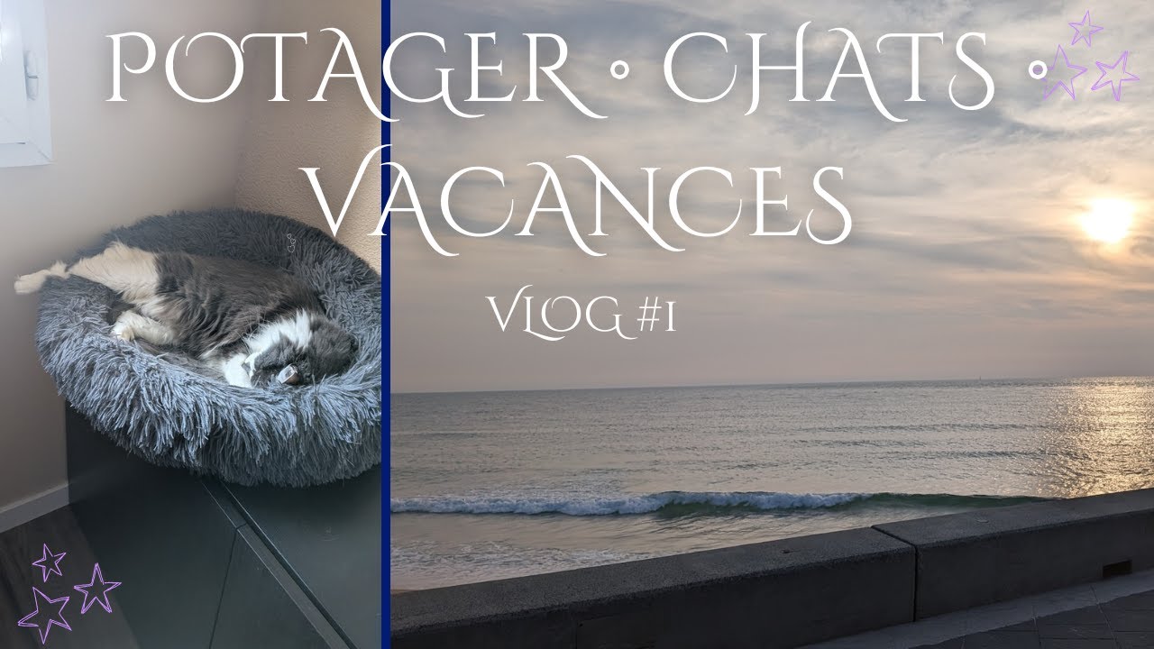 Vlog potager, chats et vacances à l’Océan | Moments de Vie #1