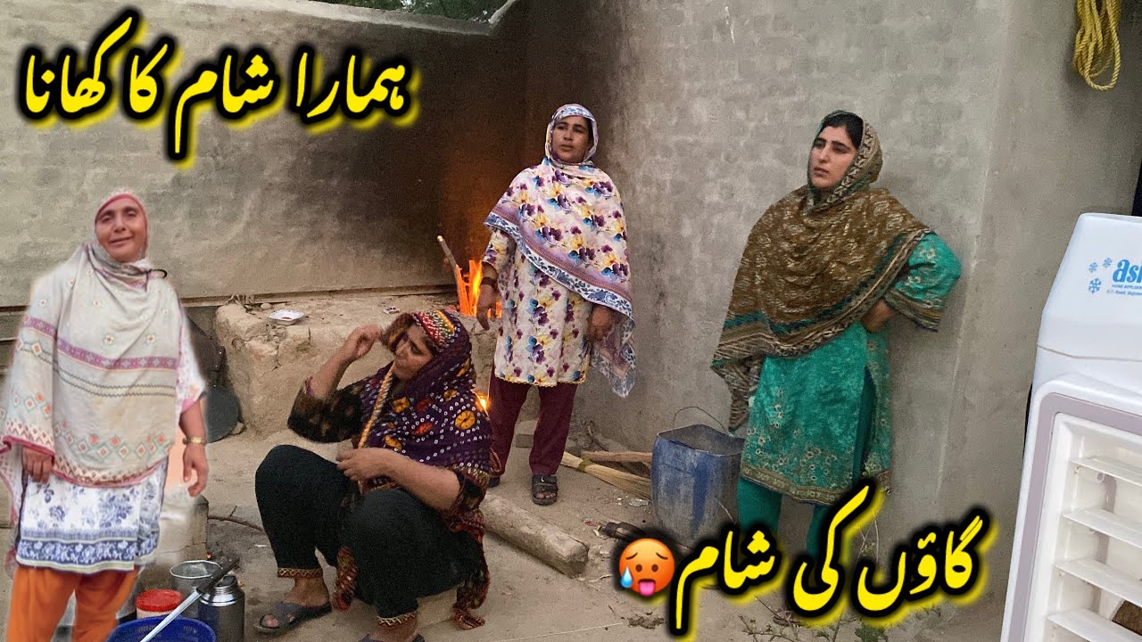 Village Woman Life in Hot Summer| Eggplant Unique Cooking| Desert Woman Routine| Rural Life 
