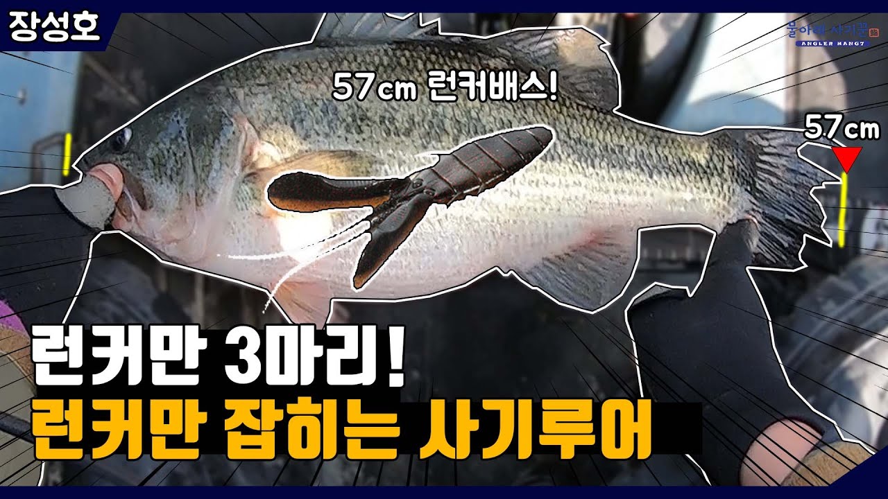 런커만 잡히는 사기루어, 장성호 배스낚시