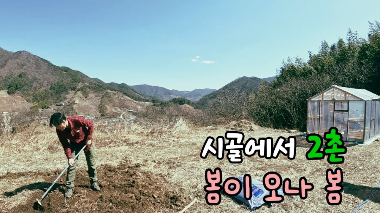 시골에서 봄마중 / 🔊대나무 넘어가유~~😲/ 돌때문에 돌것 같은 텃밭일구기😖 /  열일하고 2촌포차에서 즐기기