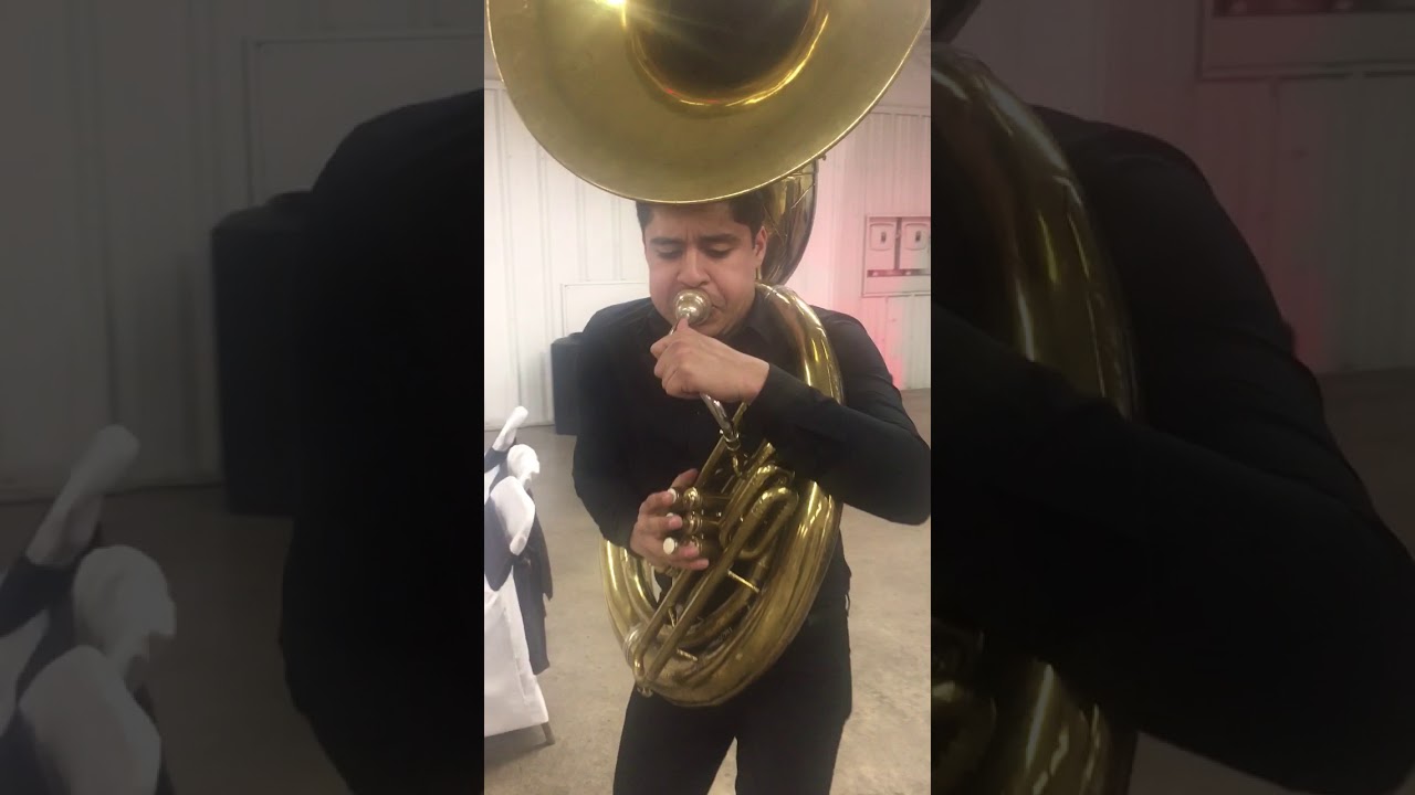 La Pava, en vivo 