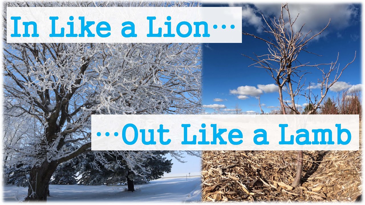 Hazel Acres in March: In Like a Lion, Out Like a Lamb