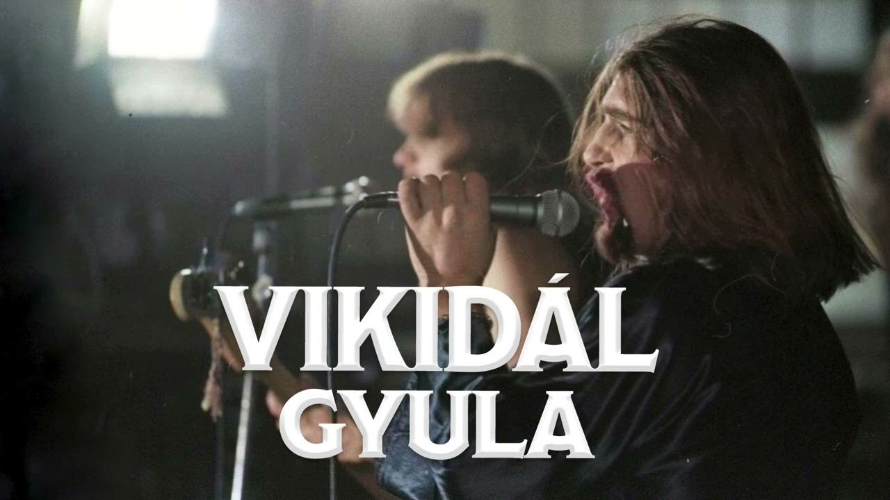 MHV: Gazd&aacute;tlan git&aacute;r