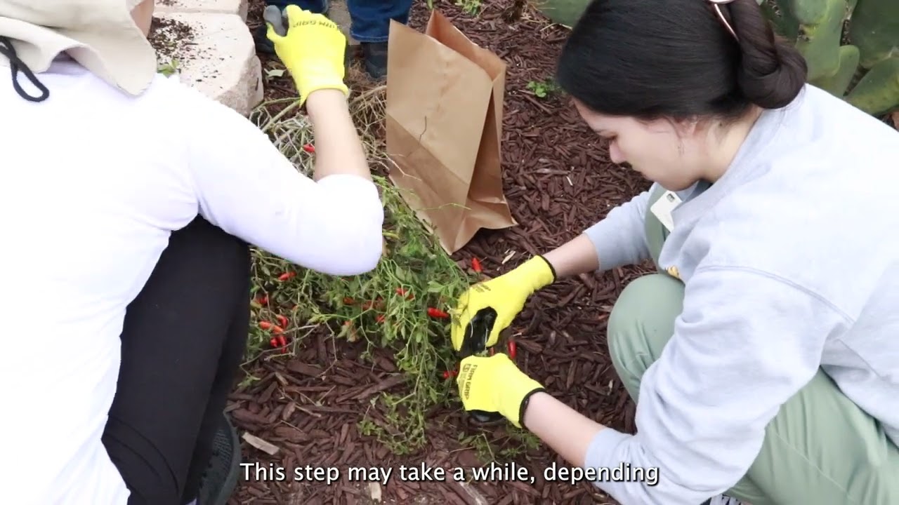 How to Compost at Home