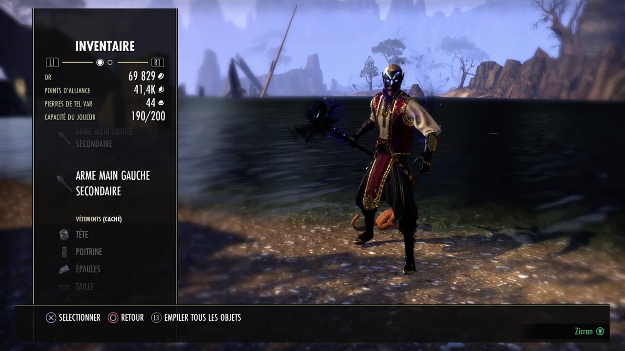 The Elder Scrolls online Build Sorcier Magie PVE