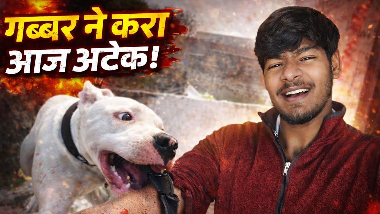 गब्बर ने किया आज अटैक 😱#foryou #youtube #youtubeshorts #trendingshorts #viralvideo #vlog #dailyvideo