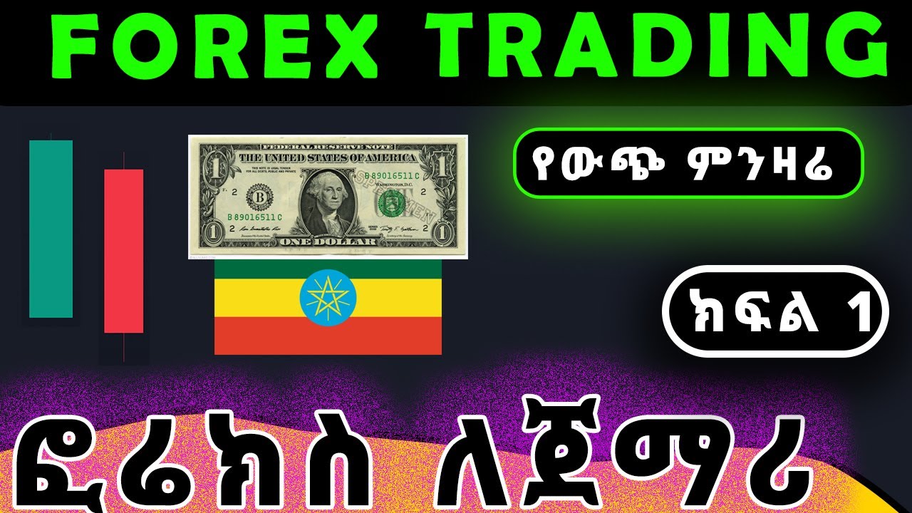 ፎሬክስ ትሬዲንግ ለ ጀማሪዎች በአማርኛ - Forex Trading Tutorial for beginners in amharic ( Part 1 ) | Ethiopia.