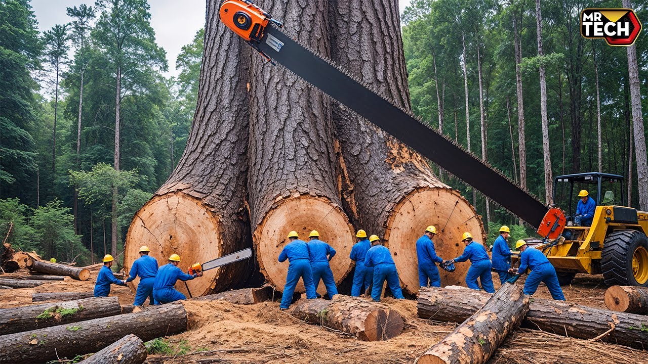 Extreme Dangerous Fastest Big Chainsaw Cutting Tree Machines | Monster Stump Removal Excavator #67
