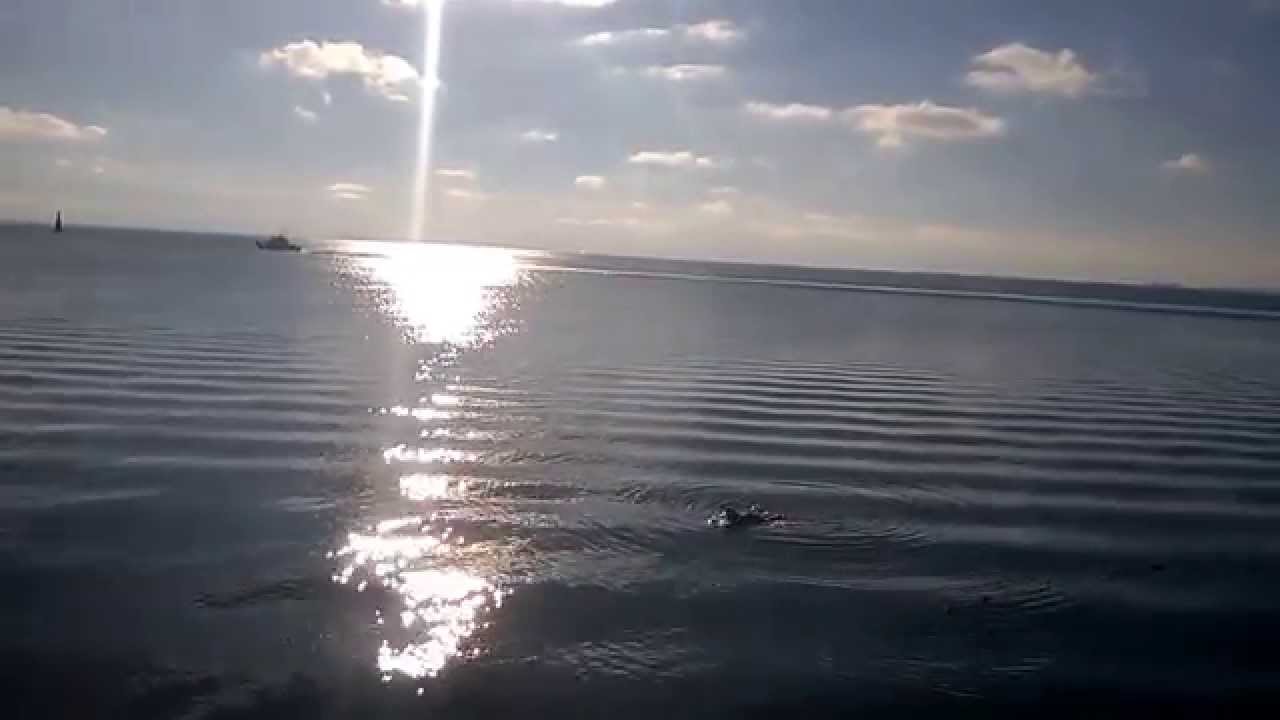 Ogden Point Break Water!. Victoria, B.C. Canada