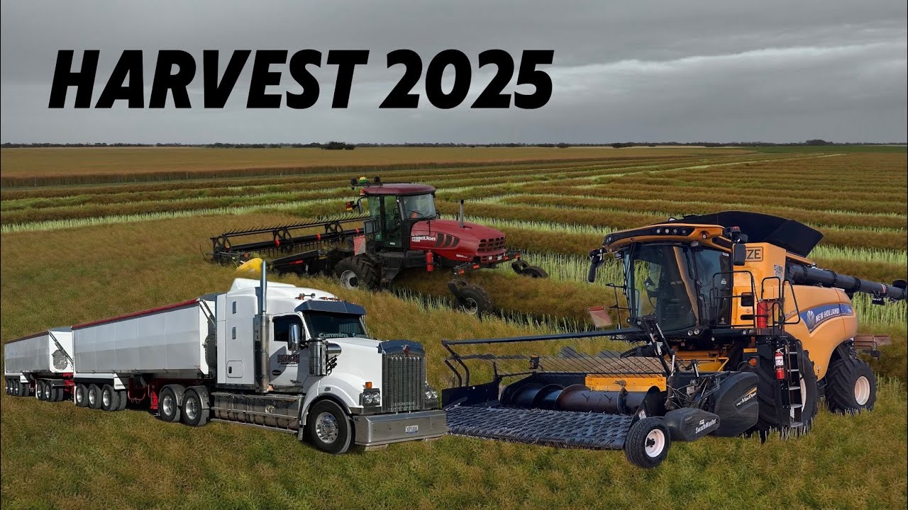 Harvest 2025🌾