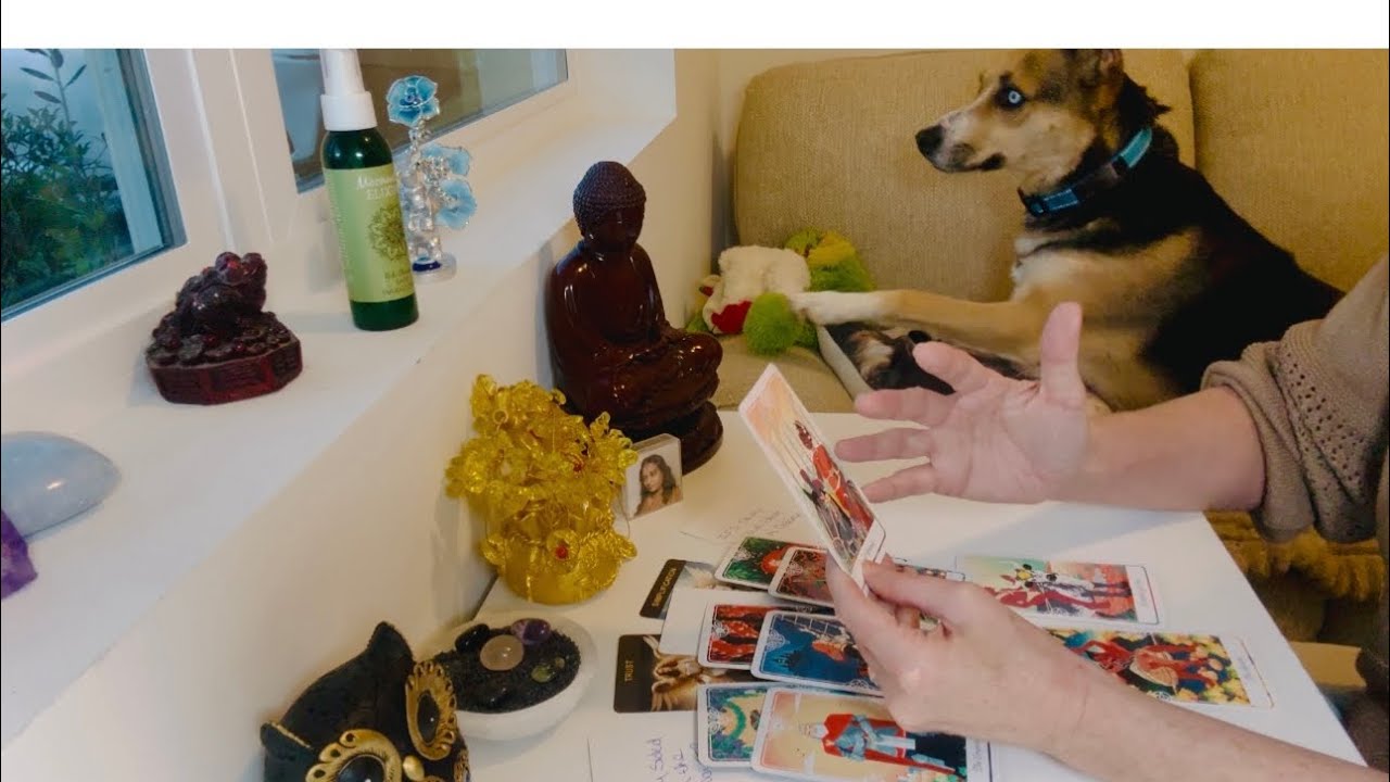 Очень личное чтение — «Я видел всё, что ты вытерпел»