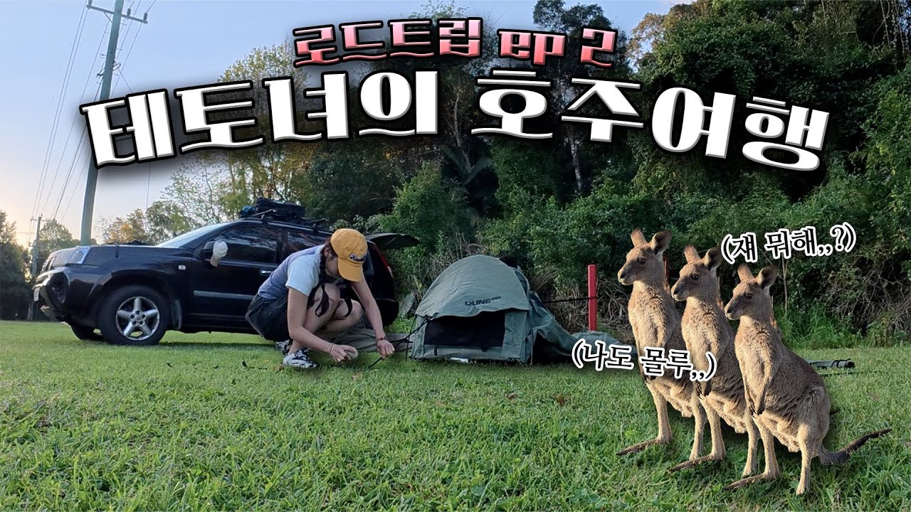 샤워실이 없다구요,,,? 호주 로드트립의 진짜 현실^0^❗️