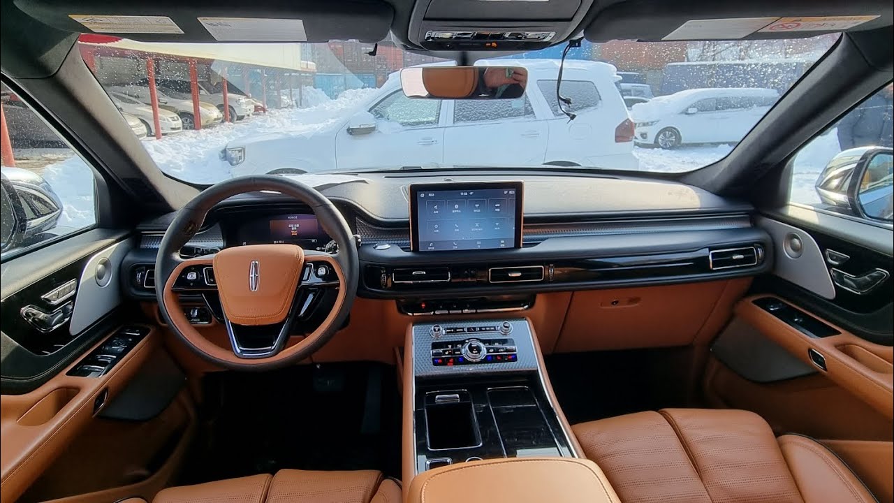 Заверните два! Куча электроники, рама, полный привод и отель Ritz в салоне. Aviator Black Label 2021