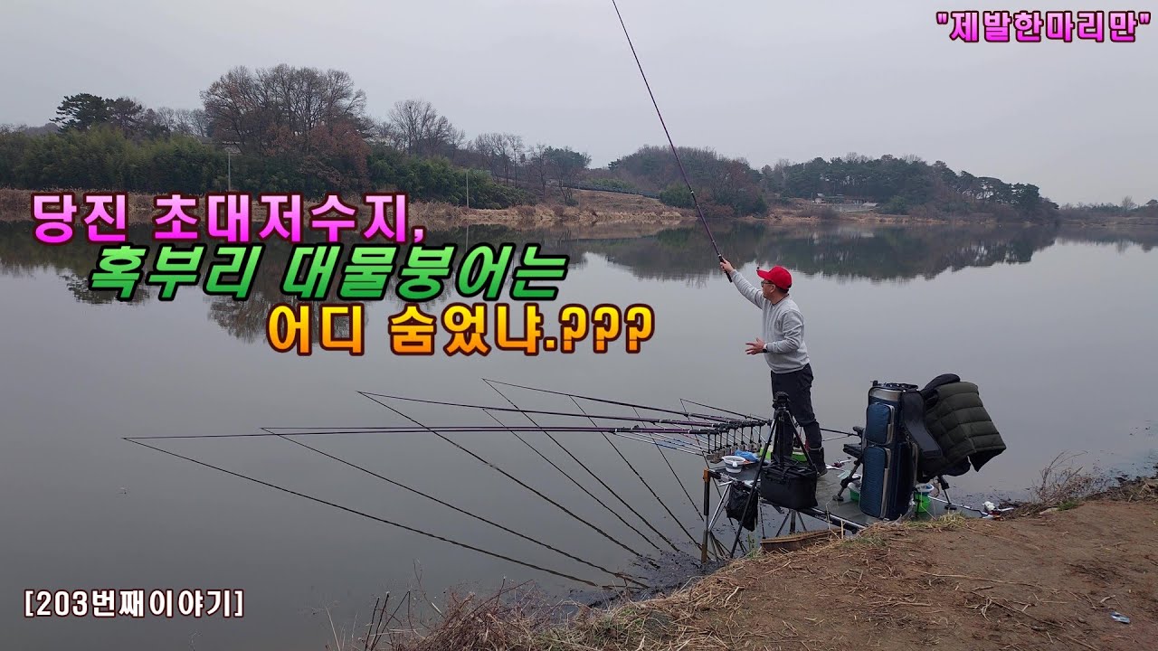 당진 초대저수지, 혹부리 대물붕어는 어디에 숨었냐.???[203번째 이야기]