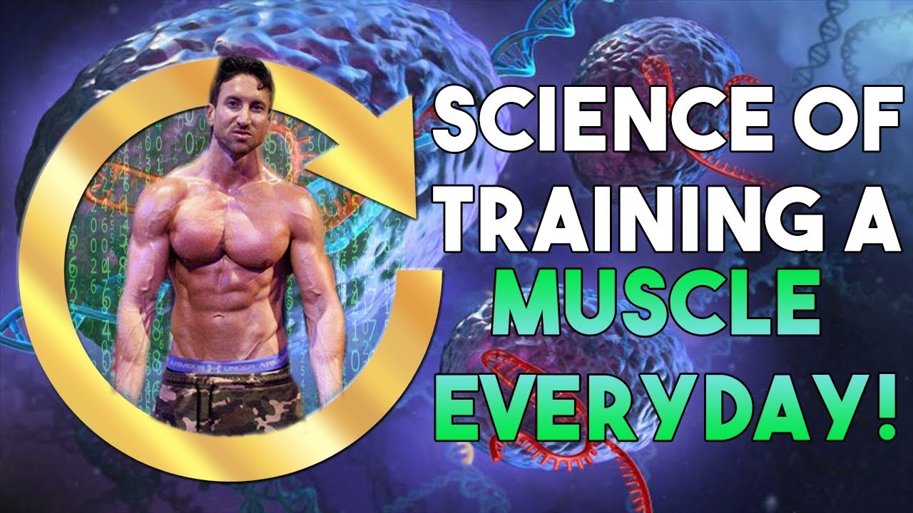 Why Training A Muscle Daily Builds It Fast!