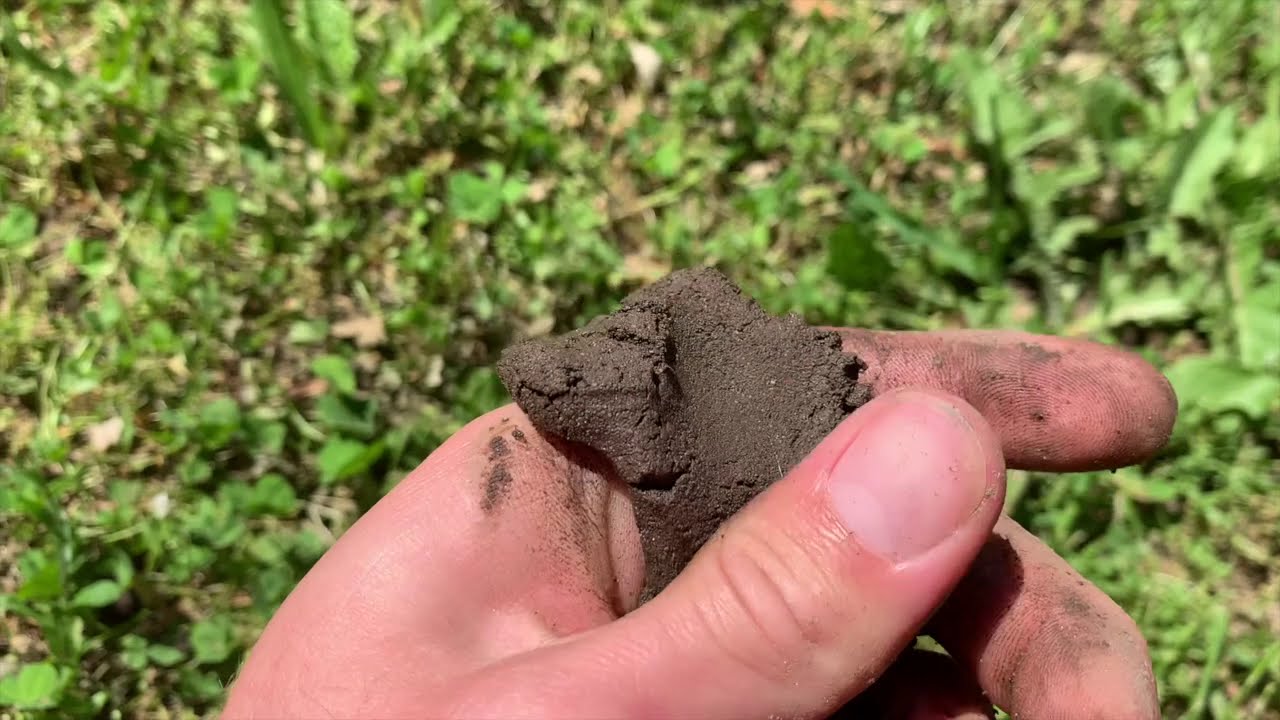 Using Field Tests to Determine Soil Texture