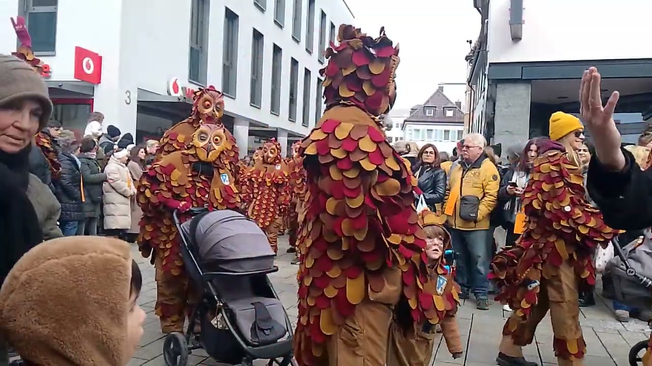 Narrenumzug Reutlingen 2025 Teil 1