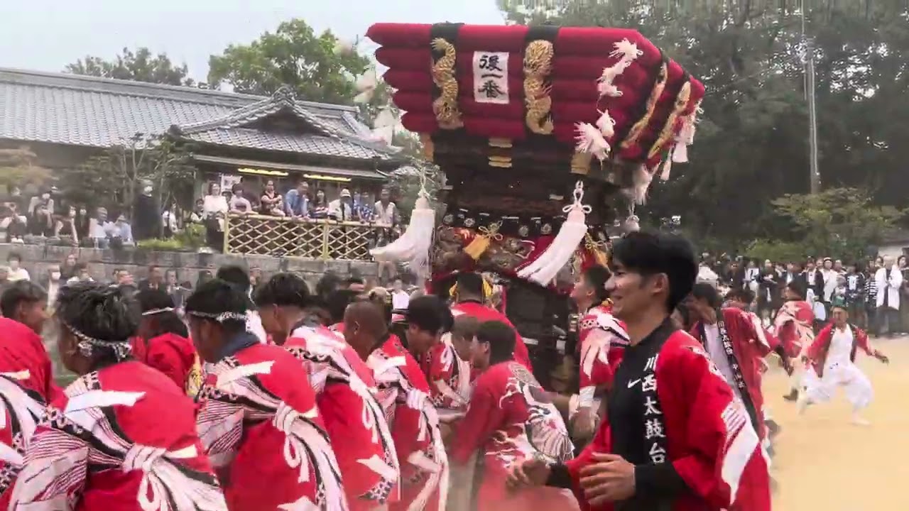 白羽神社秋祭り　川西太鼓台　2025/10/12