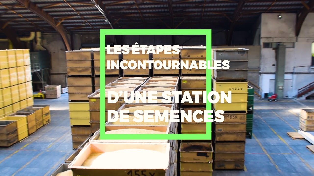 Brèves de... Station de semence