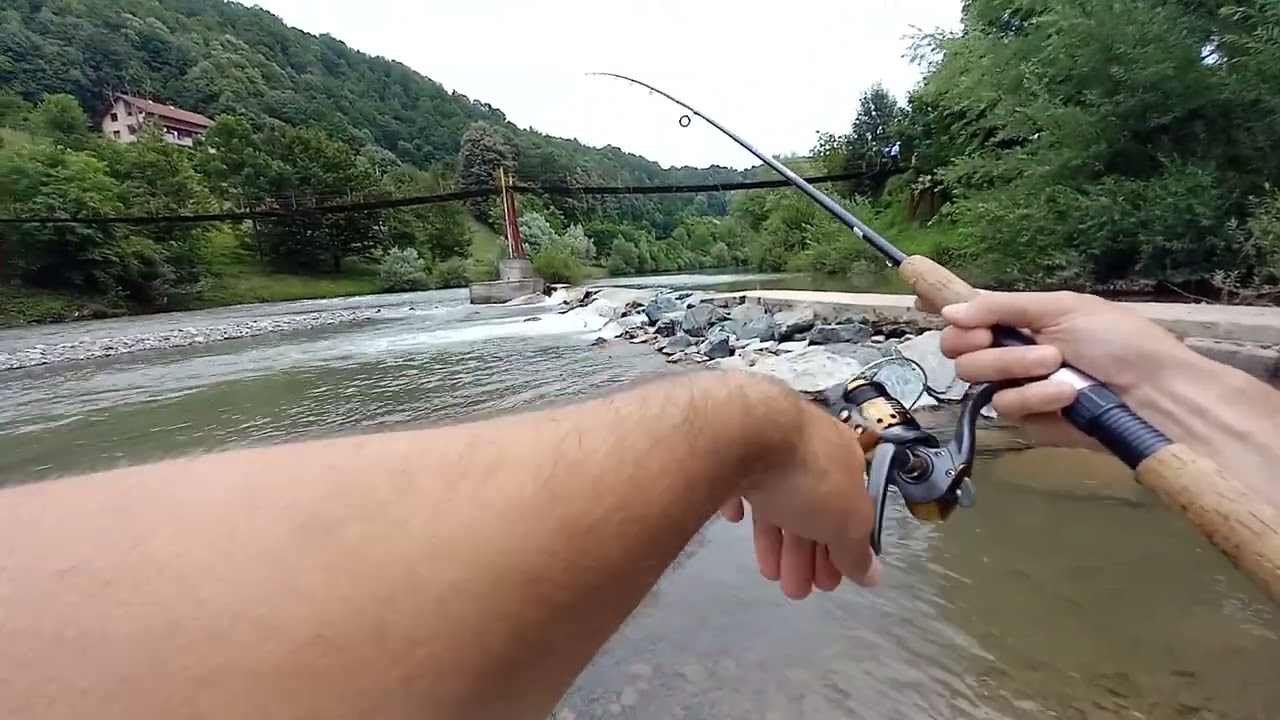#Chub Spinning..varalicarenje klena Krivaja