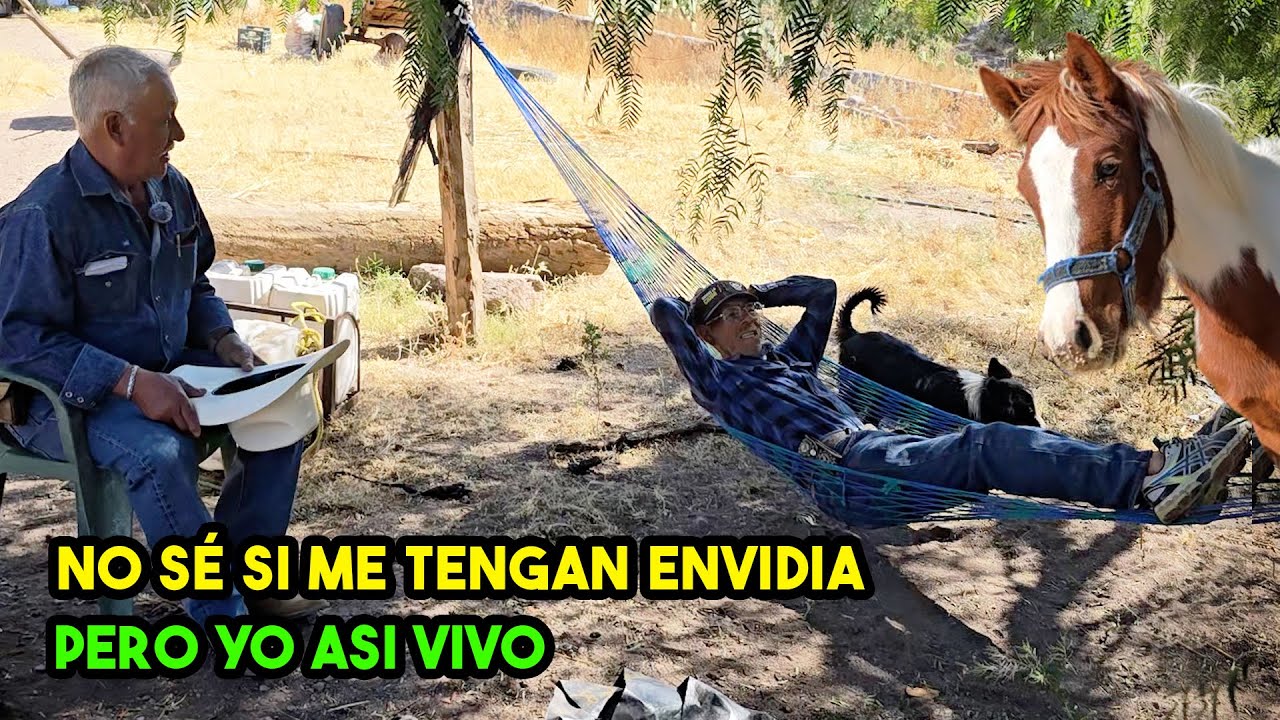 ¡VENGAN POR MIS ANIMALES! BUSCO COMPAÑERA para PODERME RETIRAR