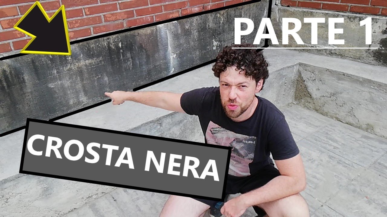 Come eliminare: Crosta nera, muschio e licheni da un muro esterno           [PARTE 1]
