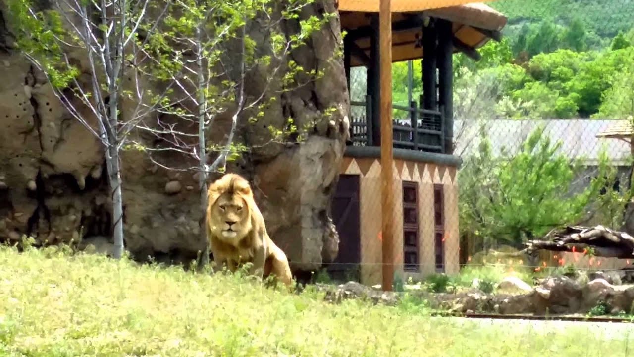 Hogle Zoo - May 18th, 2014