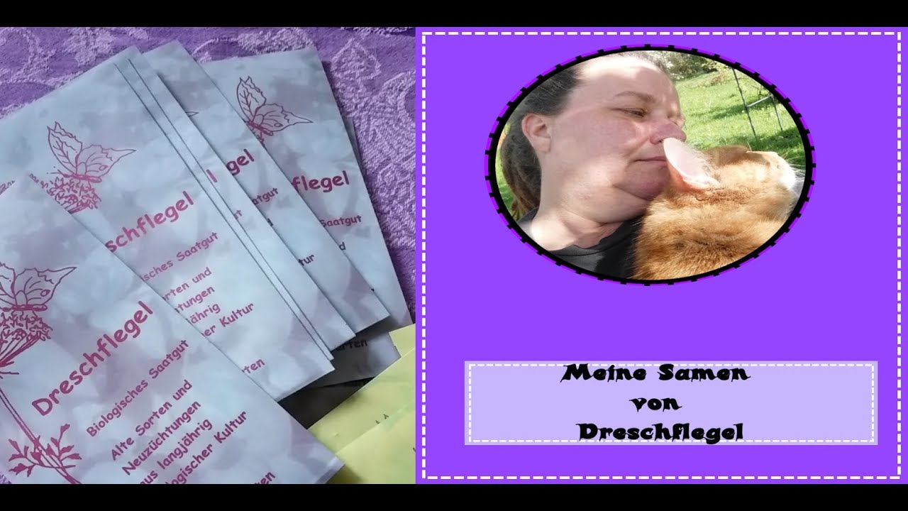 Meine Samen von Dreschflegel