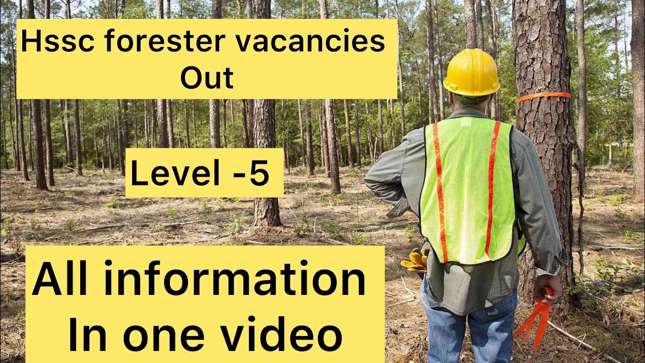 Hssc forester vacancies hssc new vacancies out Good news
