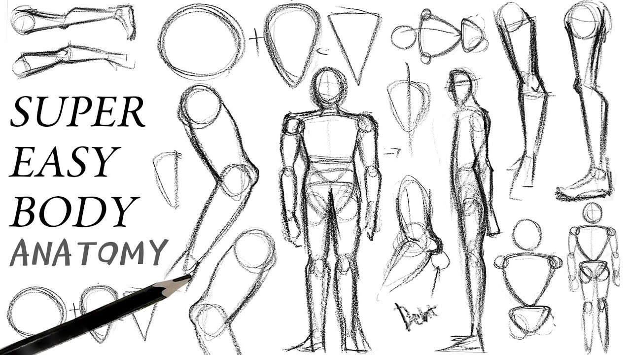 😳 BODY ANATOMY SUPER BEGINNERS? CHECK THIS TRICK [TUTORIAL] 😳