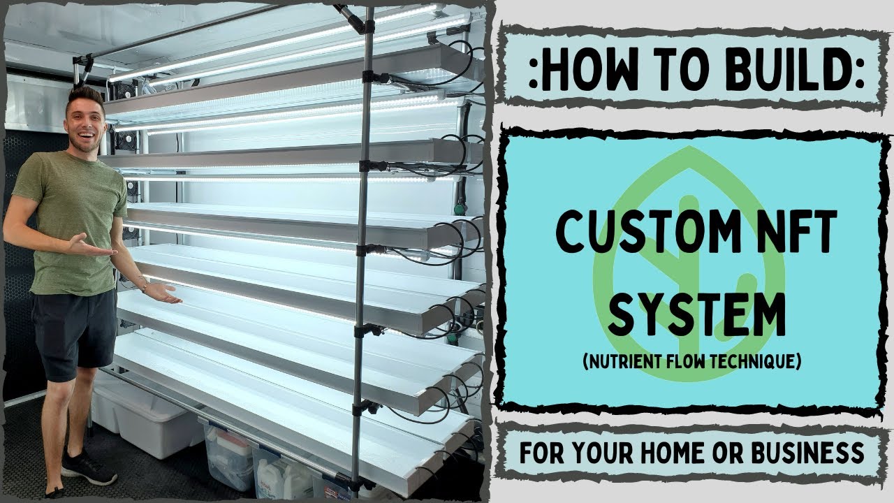 How to Build an NFT Hydroponic System for Microgreens | Full DIY Guide