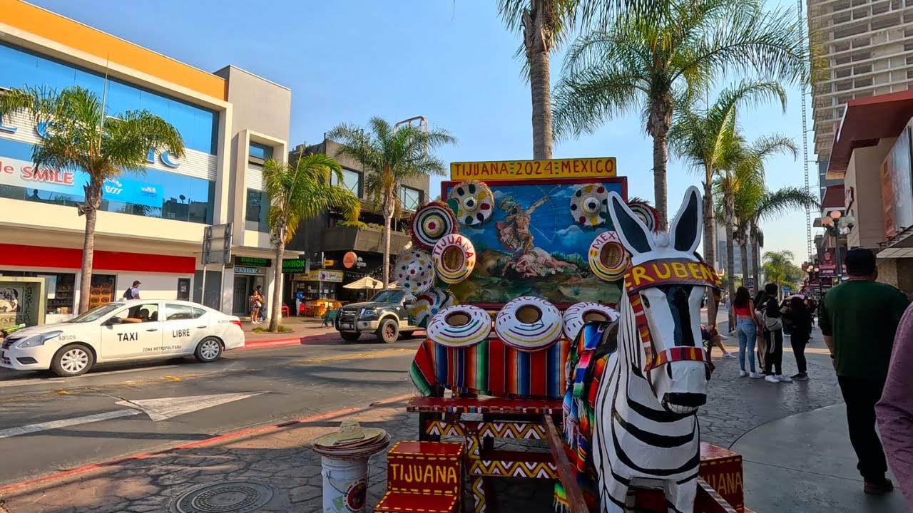 ¿Que Paso Con Los Burros-Cebra de Tijuana? Avenida Revolucion